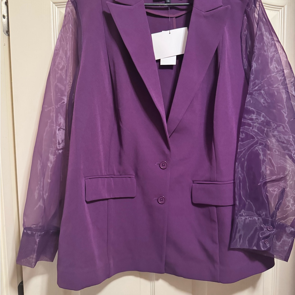 Elegant Purple Blazer With Sheer Sleeves
